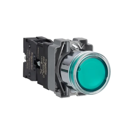 Schneider XB2BW33B1C