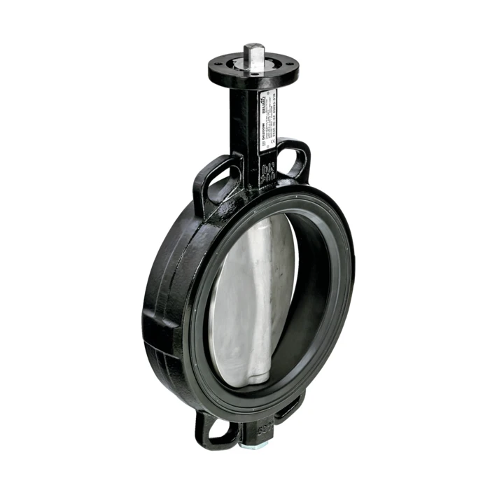 Belimo D6250W