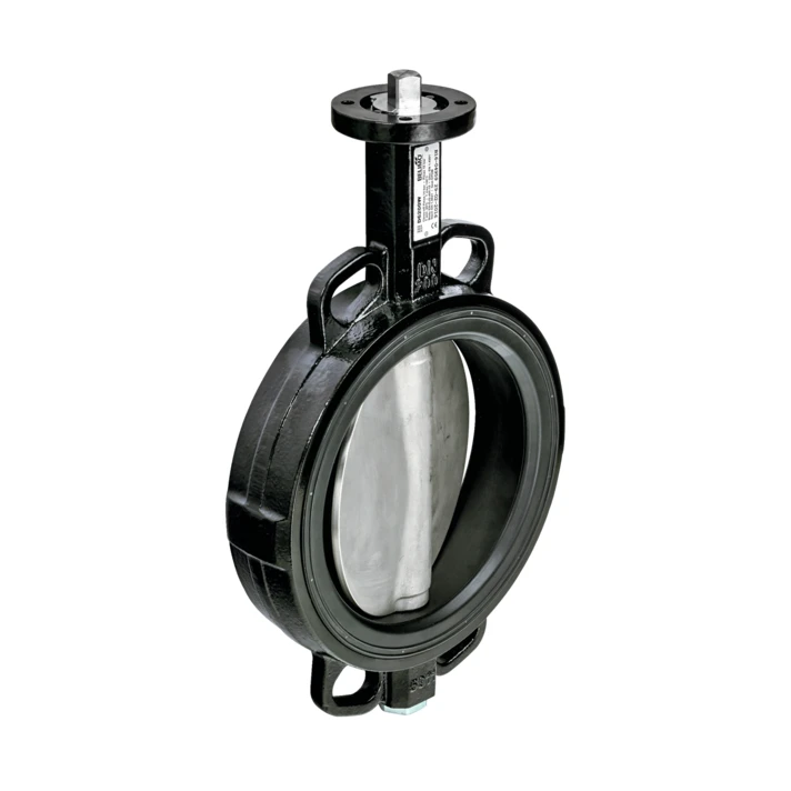 Belimo D6300W