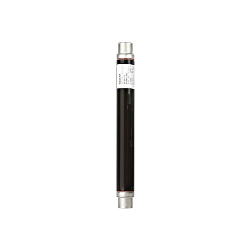 Schneider 51006540M0 Fuse