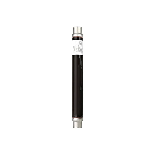 Schneider 51006543M0 Fuse