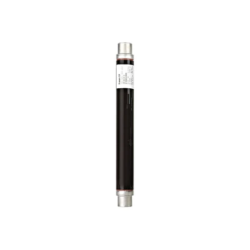 Schneider 51006544M0 Fuse