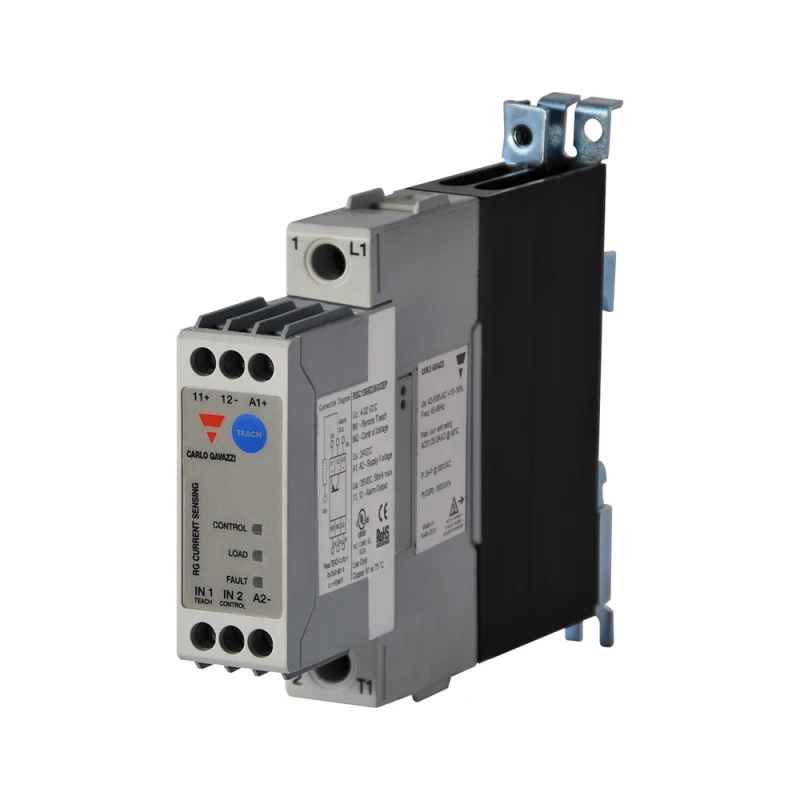 Carlo Gavazzi RGC1S60D26GGEP
