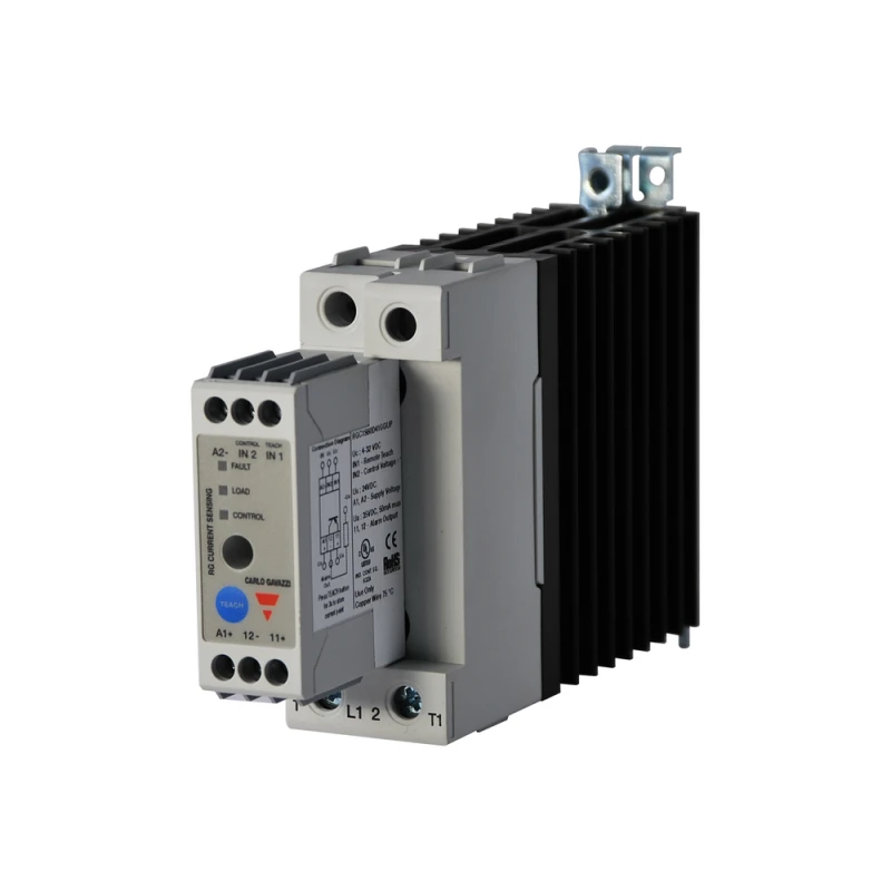 Carlo Gavazzi RGC1S60D41GGUP