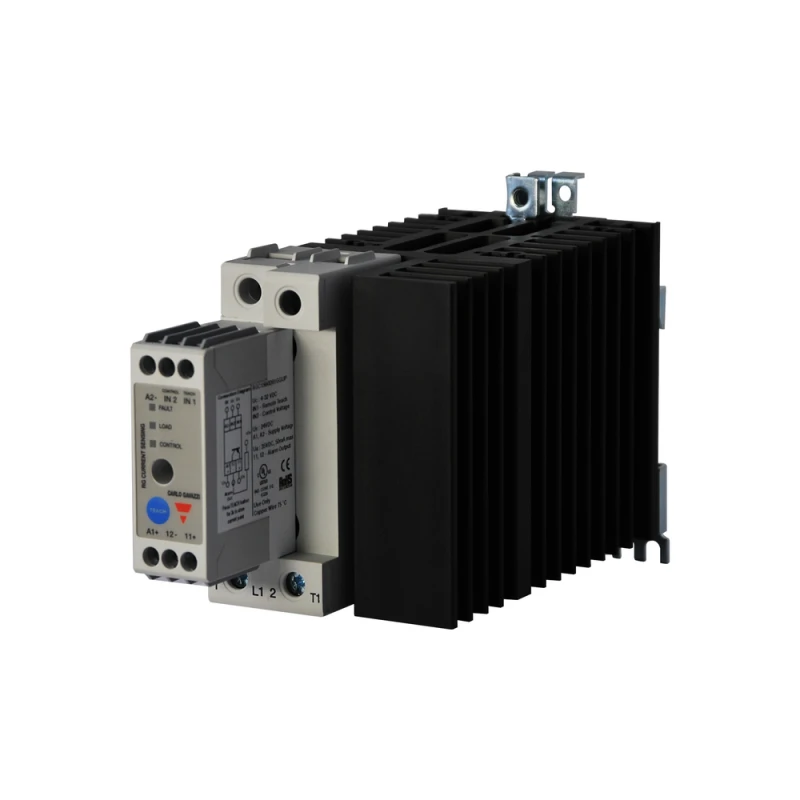 Carlo Gavazzi RGC1S60D61GGUP