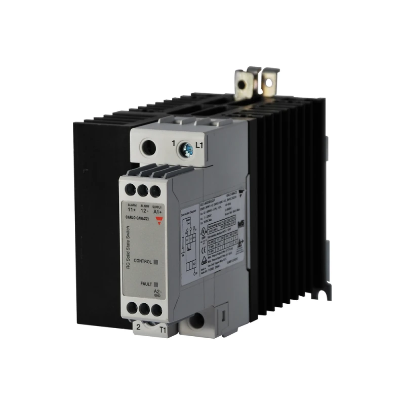 Carlo Gavazzi RGC1A60D62GGEP