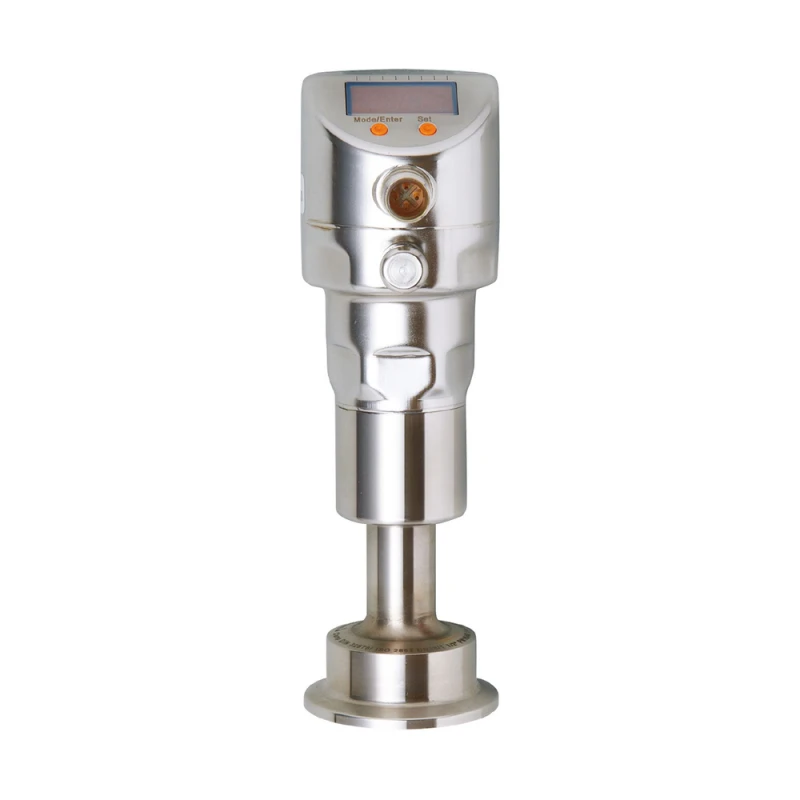 IFM PI2204