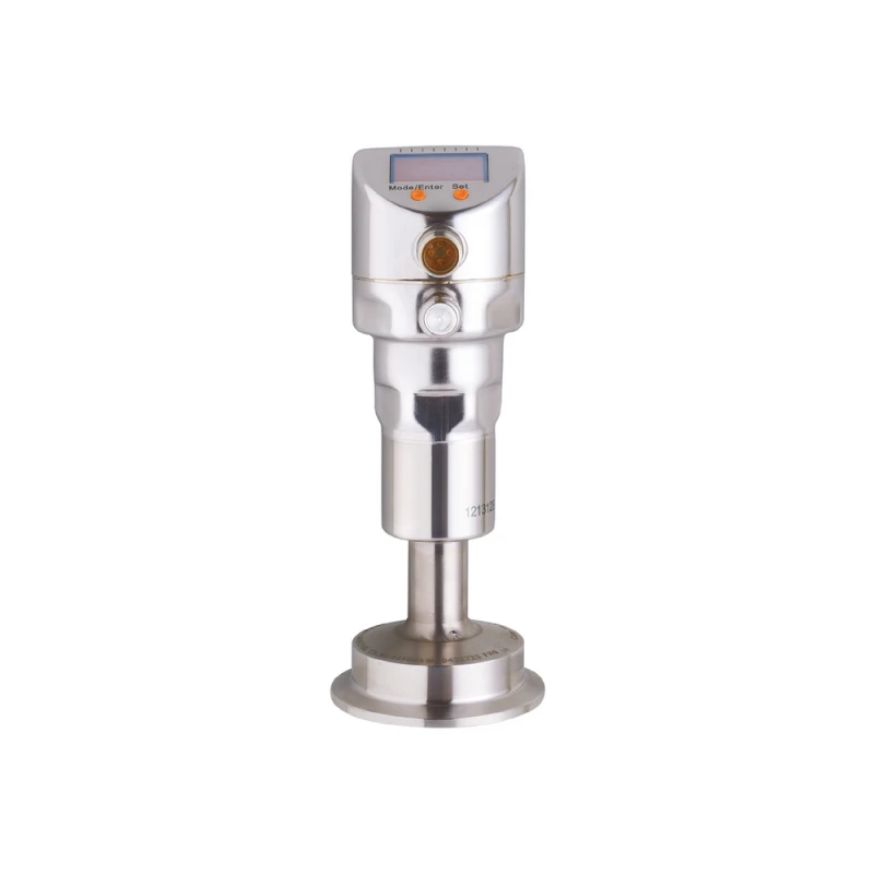 IFM PI2307