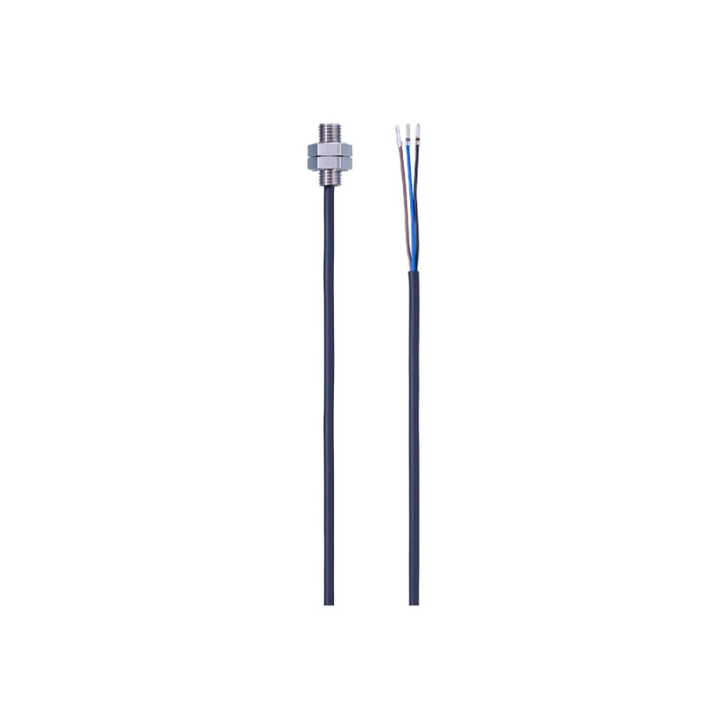 IFM IE5460 Inductive Sensor