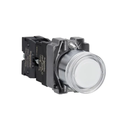 Schneider XB2BW31B1C Push Button