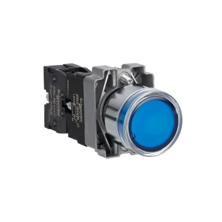 Schneider XB2BW36B1C Push Button