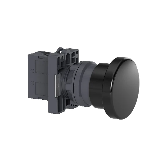 Schneider XA2EC21 Push Button