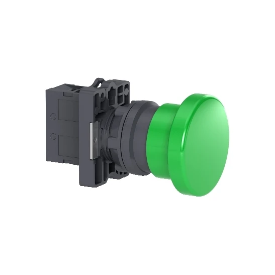 Schneider XA2EC31 Push Button