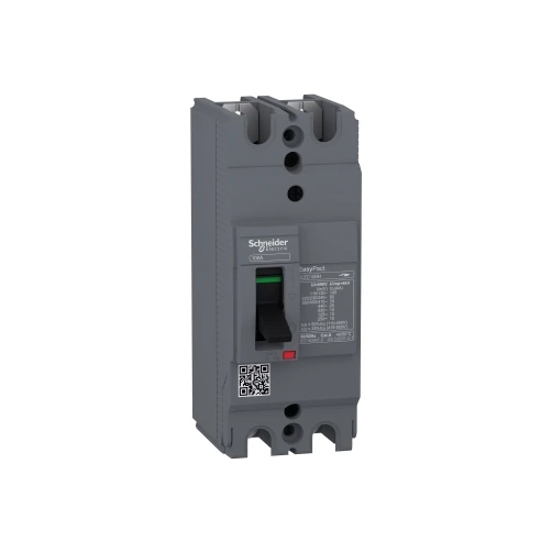 Schneider EZC100H2030