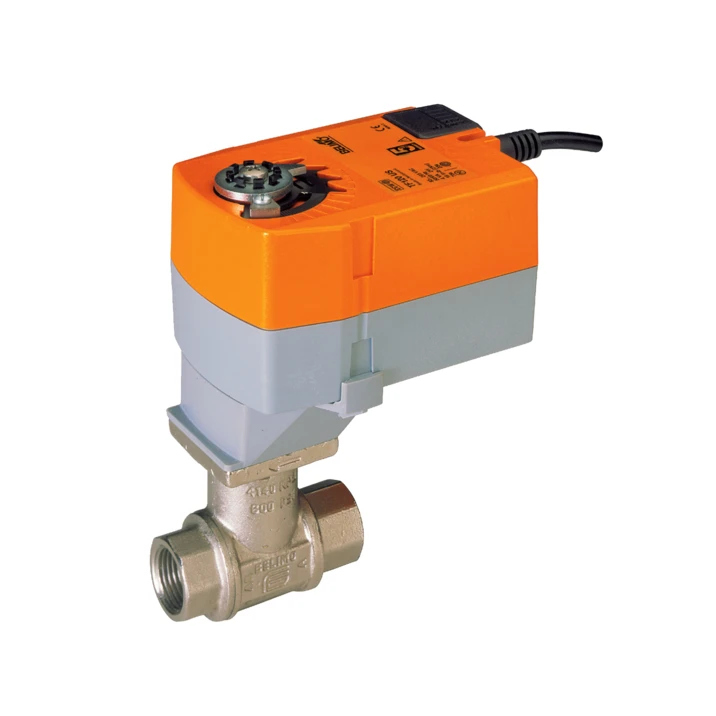 Belimo B209+TFRB24-SR Control Valve