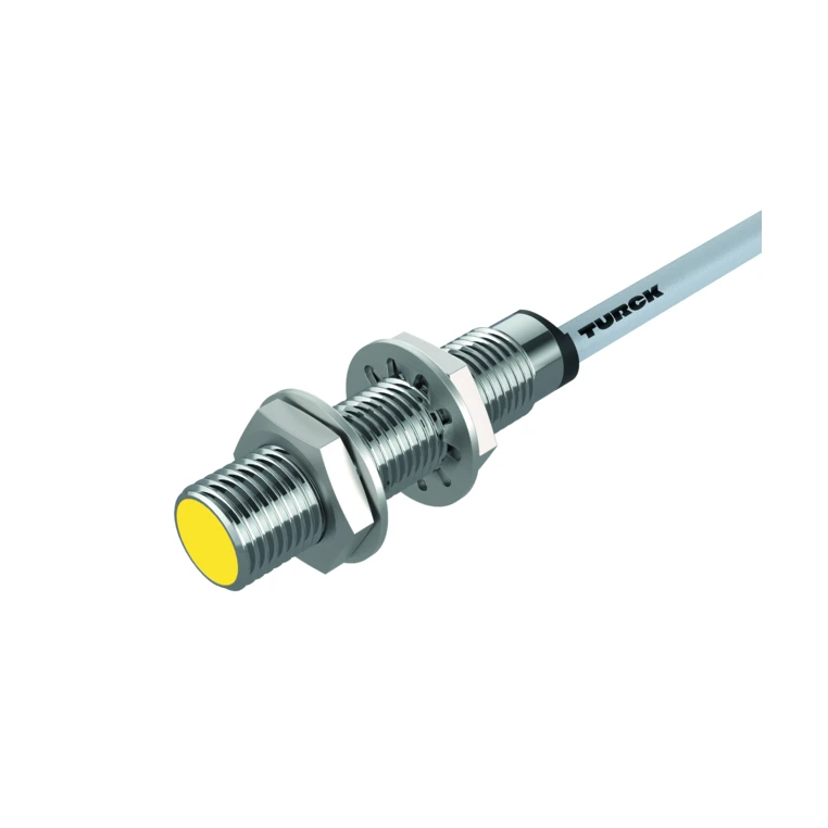 Turck BI2-Q10S-RZ31X Inductive Proximity Sensor